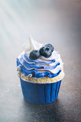 Sweet cupcakes on brown stone background. 