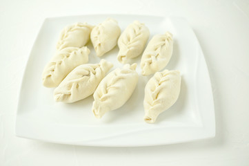 Asian meat dumplings on a white plate. Selective focus