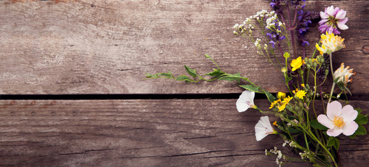 Wild flowers on old grunge wooden background (chamomile lupine dandelions thyme mint bells rape)