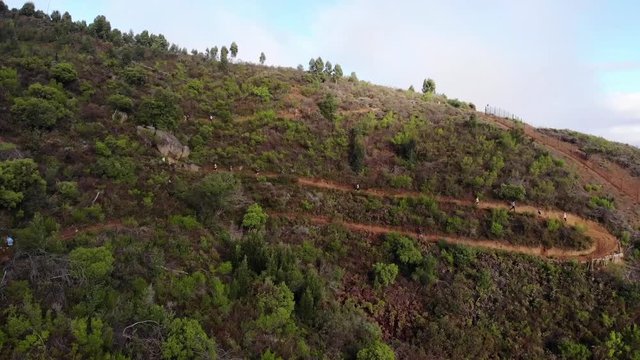 Aerial shot of a group of trail runners on a winding trail on a mountain during a race