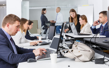 associates work on laptops in office