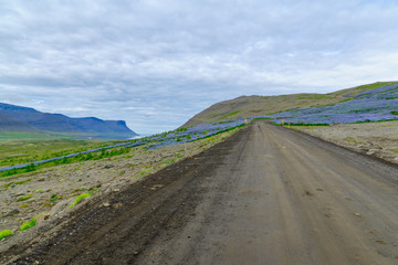 Landscape of Hrafnseyrarheidi
