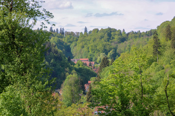 Fototapeta na wymiar Der Harz