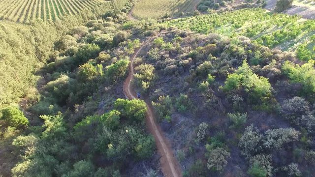 aerial view of a trail runner on a mountain