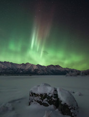 Naklejka premium Color Swatch