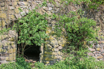 Ruineneingang