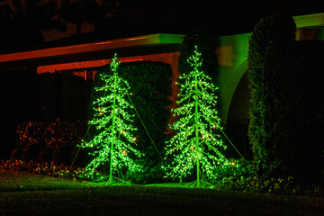 Two Christmas trees light with green lights