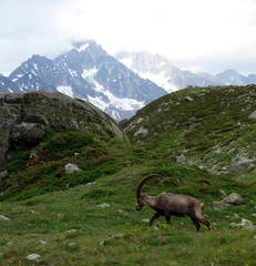 panorama montano in una giornata nuvolosa