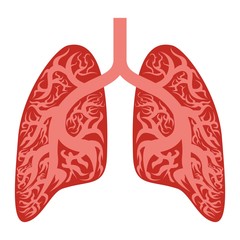 Lungs icon. Cartoon of lungs vector icon for web design isolated on white background