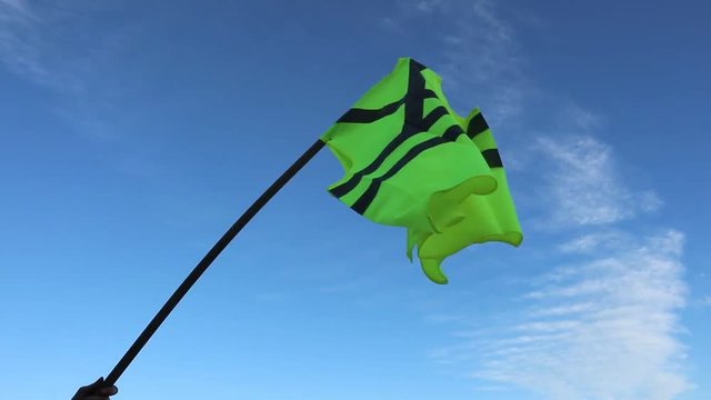 Yellow vests protest against higher fuel prices