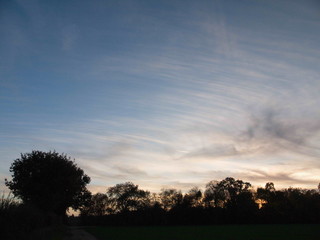 cloudy nighttime sunset sky blue sky treeline empty space