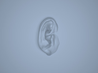 Ear Model - Anatomy of Human Ear Auricle, Lateral Surface. 3D Render.