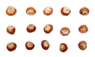set hazelnuts isolated on white background, top view