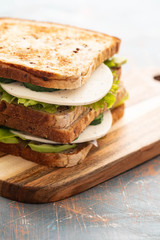 Healthy Homemade Vegetarian Veggie Sandwich with Lettuce. cucumber, avocado, Cheese. Copy space.