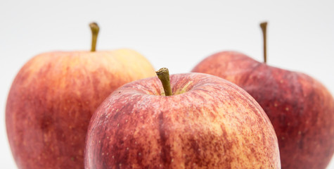 fresh ripe apples