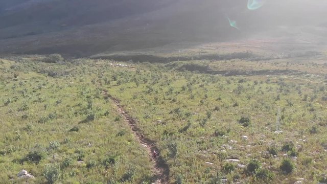 aerial view of a trail runners running down a mountain