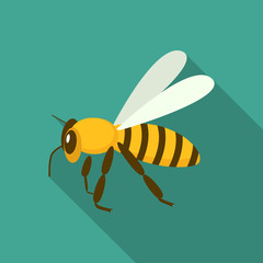 Queen bee icon. Flat illustration of queen bee vector icon for web design