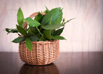 Bay leaf in basket