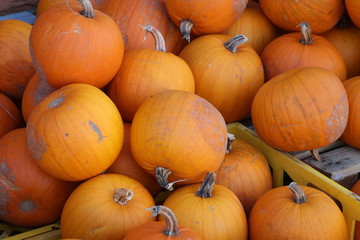 Pumpkins