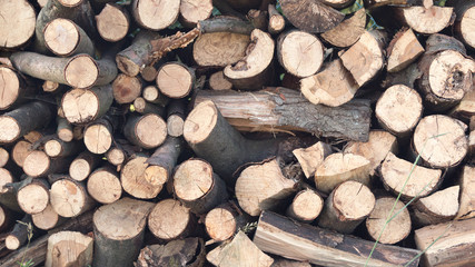 Holzstapel