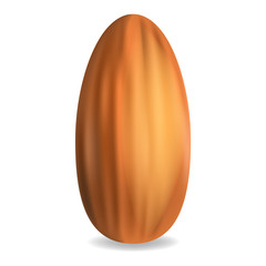 Almond icon. Realistic illustration of almond vector icon for web design