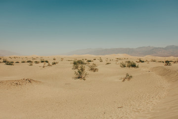 Tatooine