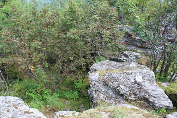 Landscape with rocks in the forest in the summer in the Urals of Russia.