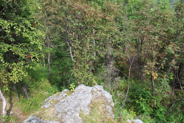 Landscape with rocks in the forest in the summer in the Urals of Russia.