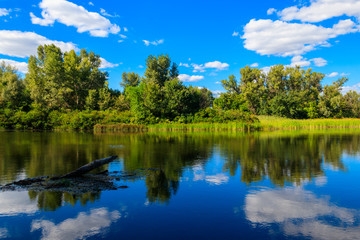 Fototapeta premium Summer landscape with beautiful river, green trees and blue sky
