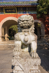 Fototapeta na wymiar Stone dragon statue protecting a garden