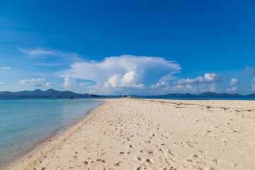 Fototapeta na wymiar View of tropical beach on the Ditaytayan island, Busuanga, Palawan, Philippines. Beautiful tropical island with sand beach, palm trees. Travel concept.