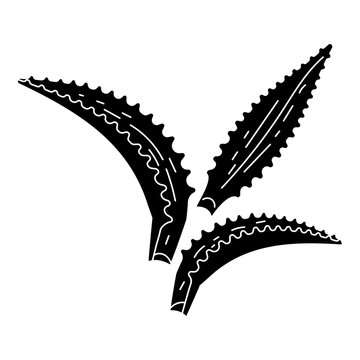 Aloe vera leaf icon. Simple illustration of aloe vera leaf vector icon for web design isolated on white background
