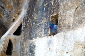 The ancient city of Matera, carved into the rock