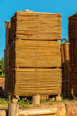 Several stacks of wooden slats under the blue sky sunset, Airue, Grão Pará, Santa Catarina