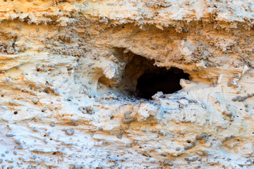 Close up hole of an owl in a white stone. Bird's home