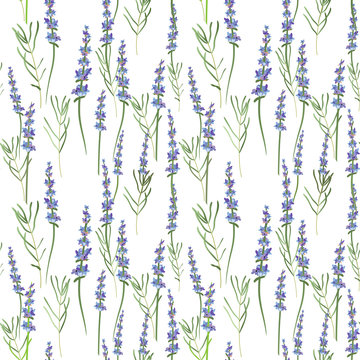 vector seamless light lavender background Vector illustration