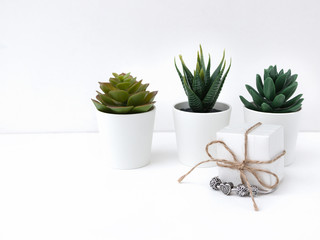 White background for card for women's or mother's day. White gift boxes and succulent. Love. Valentines day.