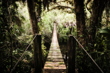 Fototapeta premium Old wooden suspension bridge over the Estero River in Florida surrounded by tropical vegetation stylized and desaturated. 