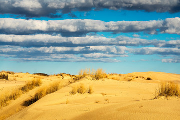 Monahans Sandhill State Park