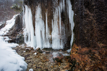 Frozen waterfall called Urlatoarea in Vama Buzaului, Romania in winter season and snowing