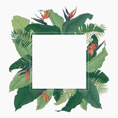 Tropical Frame Square Vector Illustration