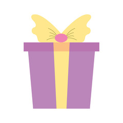 wrapped gift box bow