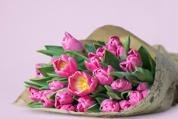 A beautiful bouquet of pink tulips on a pink background