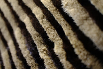 Mink fur for the production of fashionable fur coats background for the catalog
