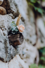 Boutonnière du marié