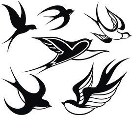 Swallow logo. Isolated swallow for your design