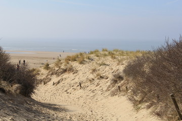 large sand dunes with marram grass at the dutch coast in Cadzand with the westersdchelde sea in the background