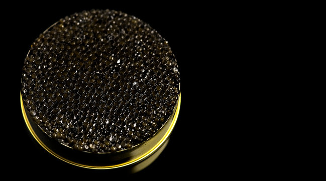 Black caviar closeup. Black caviar in tin can on black background. Delicatessen