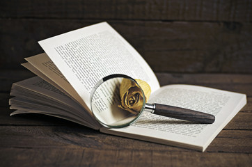 Fototapeta premium A book, a magnifying glass and a withered rose