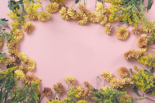 Fototapeta Golden-daisy flowers as border on pastel pink background. Floral pattern.